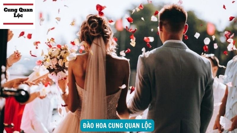 Ý nghĩa sao Đào Hoa cung mệnh